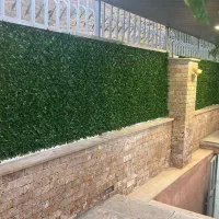 فنس برگ ریحون|گل و گیاه طبیعی|تهران, امیریه|دیوار