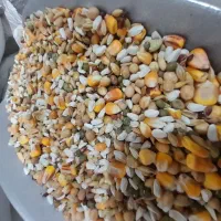 مسیر اردبیل