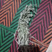 فروش گیاهان دارویی