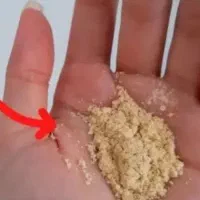 پودر جوانه گندم  مناسب فزایش وزن