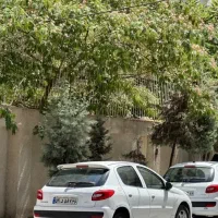 ویلایی فلسطین