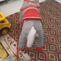 اسب کودک|اسباب‌بازی بچه|تهران, شکوفه|دیوار