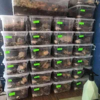 ضمانت کتبی کاردرمنزل شغل خانگی حلزون کار در منزل