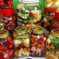 سفارش انواع ترشی ،مربا ،رب خانگی ،خانگی وبهداشتی