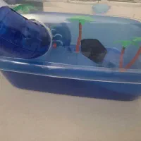 باکس همستر