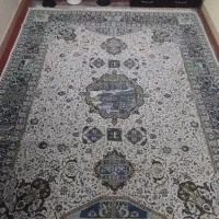 فرش ۱۲متری درحدنو سالم تخفیف دارد|فرش|ساری, |دیوار