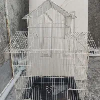 قفس پرنده|لوازم جانبی حیوانات|رباط‌کریم, رباط‌کریم|دیوار