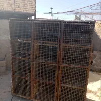 جفتگاه 12جفتی