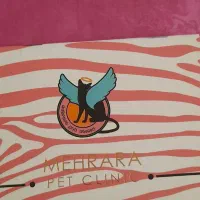 سگ شیتزو|سگ|مشهد, عامل|دیوار