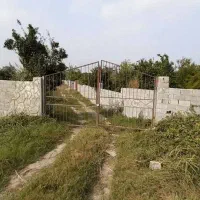 چسب-جنگل-منطقه-خوشنشین160م-زمین-خوشقواره-سندداربخر