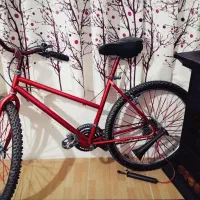 دچرخه ویوا۲۶