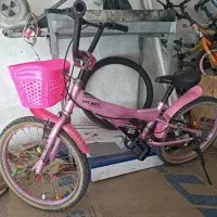 فروشگاه دوچرخه پارس|دوچرخه، اسکیت، اسکوتر|شیراز, بالا کفت|دیوار