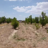 باغ۱۵۰۰مترهمراه بایک ساعت آب چاه شمس اباد|فروش دفتر صنعتی، کشاورزی، تجاری|بیرجند, |دیوار