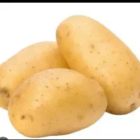 سیب زمینی جیلی درجه۱(بدون کود)