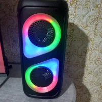 اسپیکر|سیستم صوتی خانگی|نیشابور, گنبد سبز|دیوار