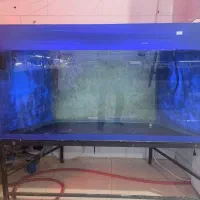 اکواریوم دست دوم AQUA SEYF|ماهی|زنجان, |دیوار