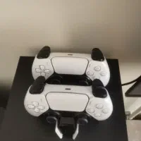 دوتا دسته اصلی رو کارتونی