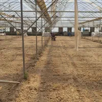 فروش گلخانه محصور واقع در پیربکران