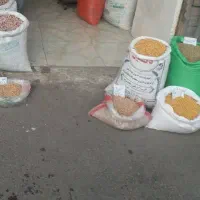 نخود عدس حبوبات