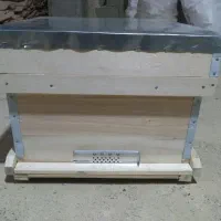 کندو زنبور عسل ( کندوی زنبور عسل )