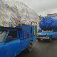 کاه لوبیا وگندم