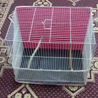 قفس ۵۰ در ۳۰ و آغل و لانه پرنده و سرلاک