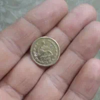 یک عدد سکه