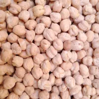 نخود فلافل درشت زیر قیمت