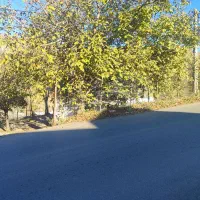 زمین مسکونی همراه خانه کلنگی|فروش زمین و ملک کلنگی|بره‌سر, |دیوار