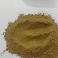 ادویه کاری کشمش