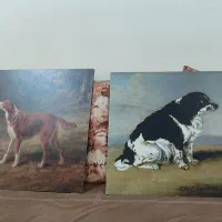 تابلو شاسی|تابلو، نقاشی، عکس|بندرعباس, |دیوار