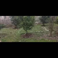 یک-قطعه-زمین-در-شمال
