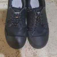کفش کار