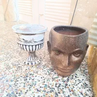 گلدون|گل و گیاه طبیعی|آمل, |دیوار