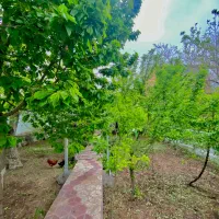 باغویلا جنگلی بااستخر آبگرم زلال وتصفیه وپارکنیگ|اجارهٔ کوتاه‌مدت ویلا و باغ|نیشابور, فضل|دیوار