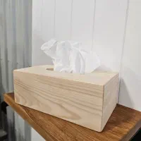 دستمال|مواد شوینده و دستمال کاغذی|تهران, تهرانپارس غربی|دیوار