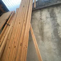 چوب نراد روسی ۱۵ سانتی گندگی شده