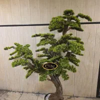 بنسای ژاپنی الیت