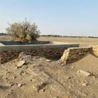زمین-کشاورزی-برقی-بعد-از-شمس-اباد