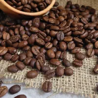 فروش مستقیم دان قهوه از کارخانه