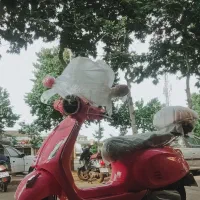 نیکتاز  ۱۶۰ اتومات صورتی مدل ۱۴۰۴