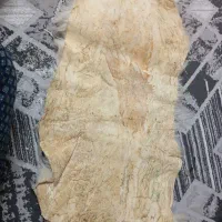 پوست دباغی گوسفند|صنایع دستی و سایر لوازم تزئینی|ری, عباسآباد|دیوار