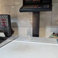 ترازو رادین ۸۸۰۰ ظرفیت ۷۰ کیلو