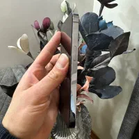 آیفون 13pro حافظه 256 دو سیمکارت|موبایل|تهران, فلاح|دیوار