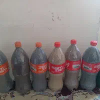 دانه درمانی درجه یک