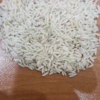 برنج دم سیاه