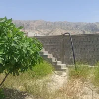 باغ واقع در کازرون روستای خیرآباد کرونی