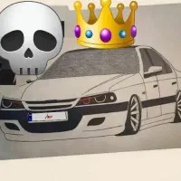 کوییک ۲۰ تا کار خونگی