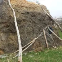 علوفه فروشی