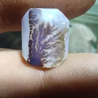 سنگ شجر|جواهرات|قم, نیروگاه|دیوار